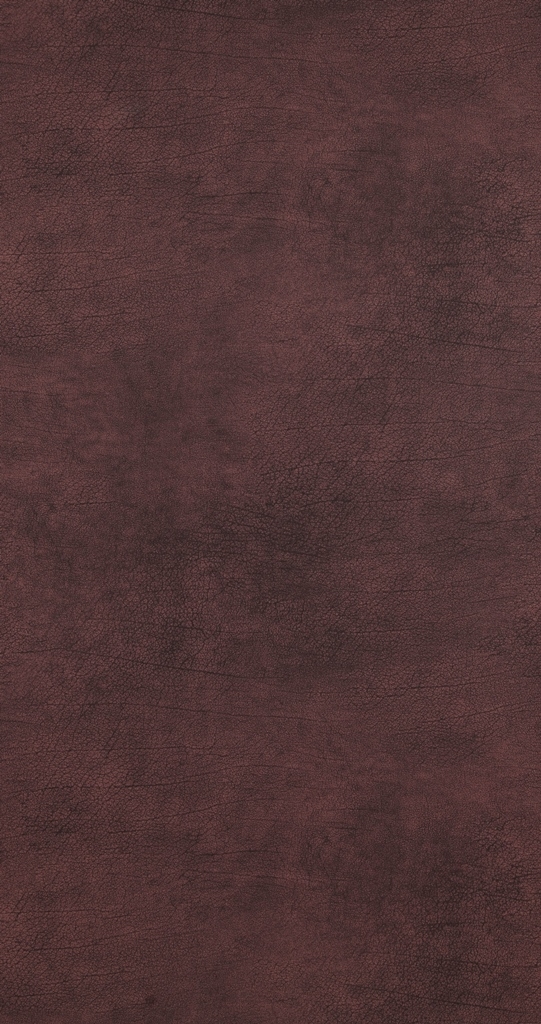 BN Walls Vliestapete Curious 17929