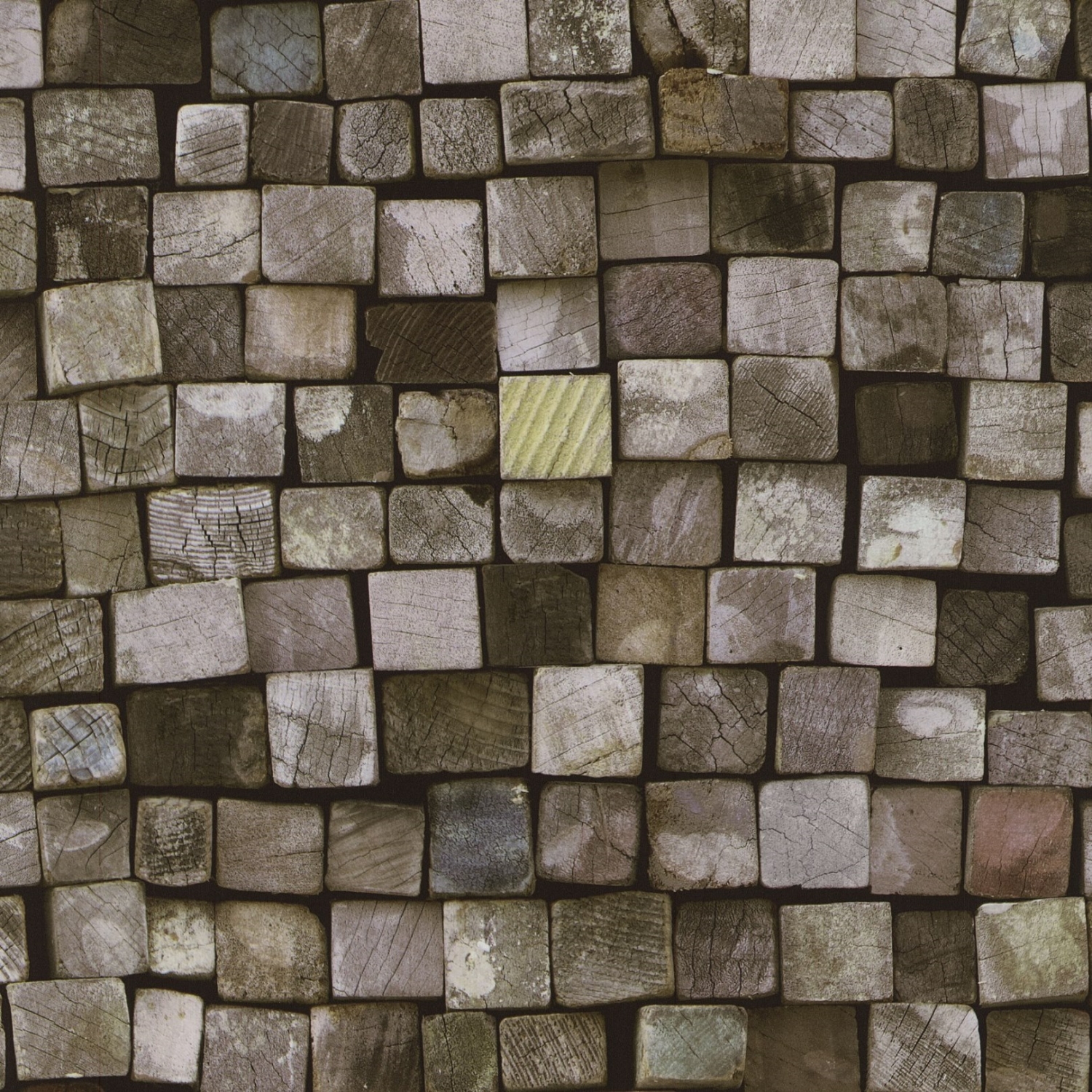 P+S Vliestapete Holz Origin 4210120 / 42101-20