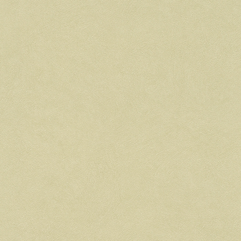 Rasch Vliestapete Fiducia 2017 grün Unitapete 424256