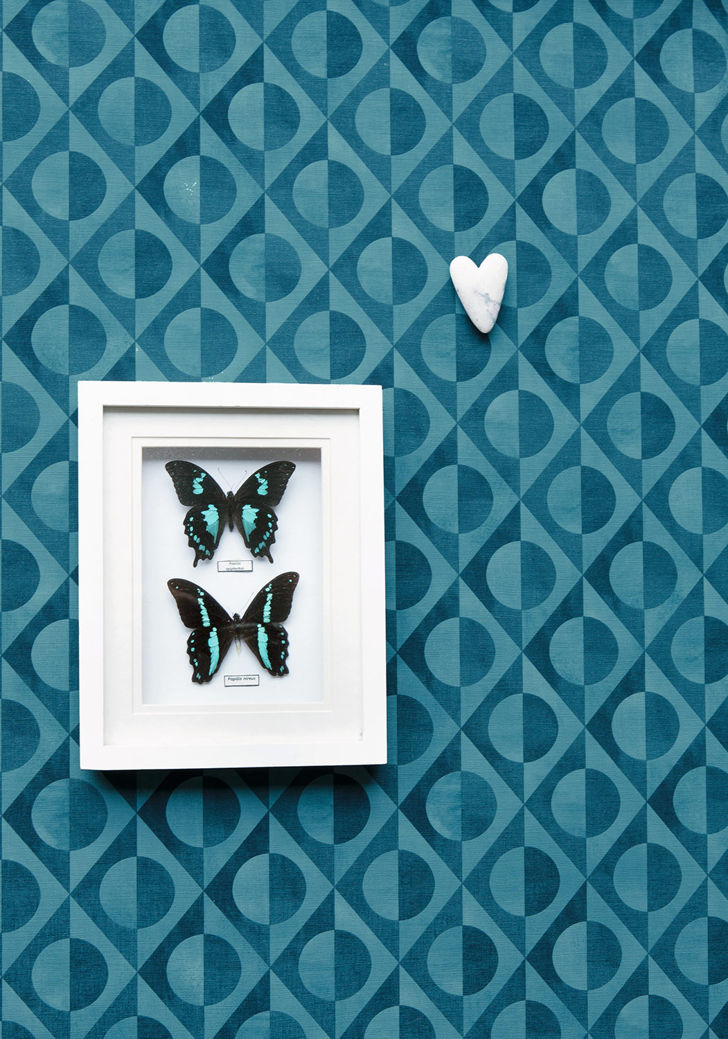 Rasch Vliestapete Club Botanique Kreise blau 538663