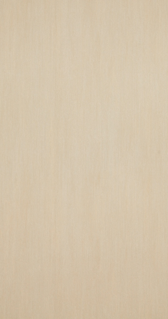 BN Walls Vliestapete Essentials 217982